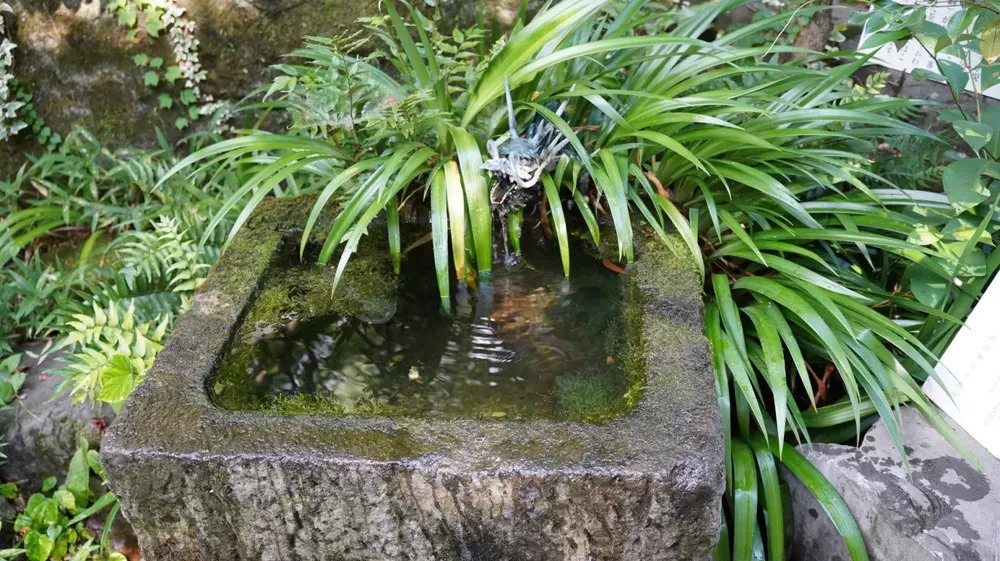 武田神社（姫の井戸）