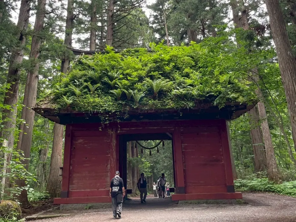 戸隠神社（随神門）